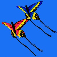 new model butterfly kite for sale