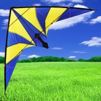 outdoor sport toy professional kite