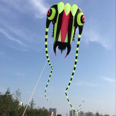 Large 32sqm Nylon Large Trilobite Show Kite For Event