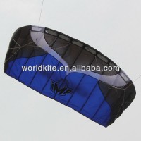 2m Hot Sale Dual-line Parafoil Hengda Kite