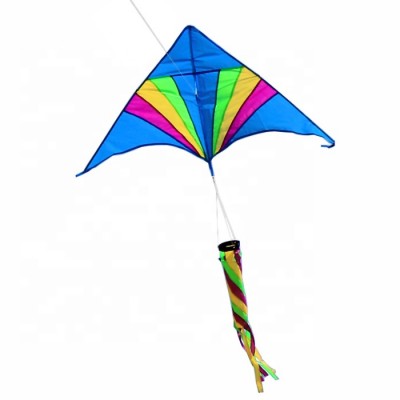 Hot sale funny delta kite