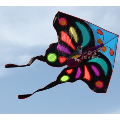 High quality wholesale OEM colorful Noctilucent butterfly kite with low price