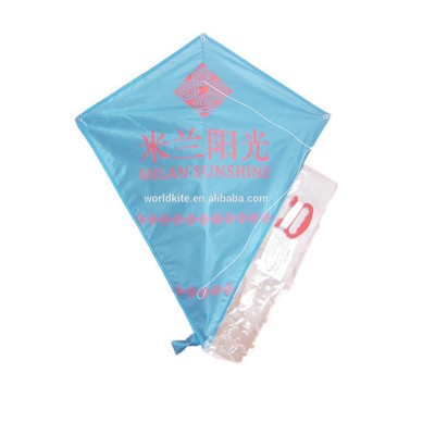 outdoor sport easy to fly diamond kite for promotion